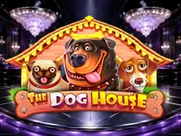 Play The Dog House slot